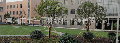 成功獲批園林綠化三級資質(zhì)